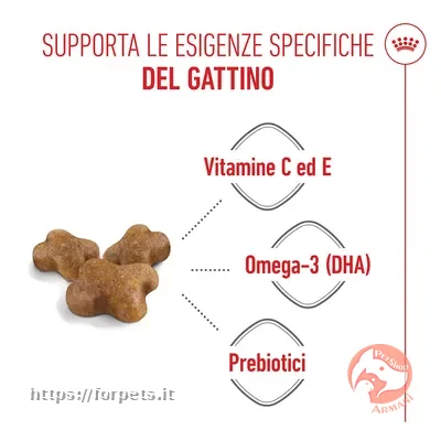 Royal Canin Kitten ACQUISTABILE A PESO - Vista Principale 2