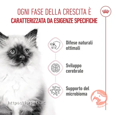 Royal Canin Kitten ACQUISTABILE A PESO - Altra Vista Secondaria