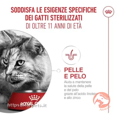 Royal Canin Sterilised Ageing 11+ sacco da 2kg - Vista Principale 2