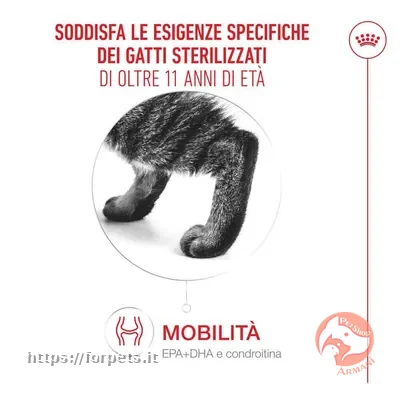 Royal Canin Sterilised Ageing 11+ sacco da 2kg - Altra Vista Secondaria