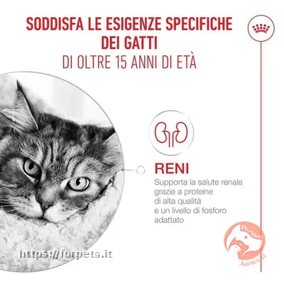 Royal Canin Ageing 15 per gatto sacco da 2kg - Vista Principale 2