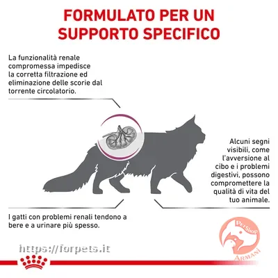 Royal Canin Renal Feline Veterinary Crocchette gatto 2 kg - Vista Principale 2