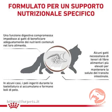 Royal Canin Veterinary Diet Gastrointestinal Hairball Gatto 2 kg - Vista Principale 2