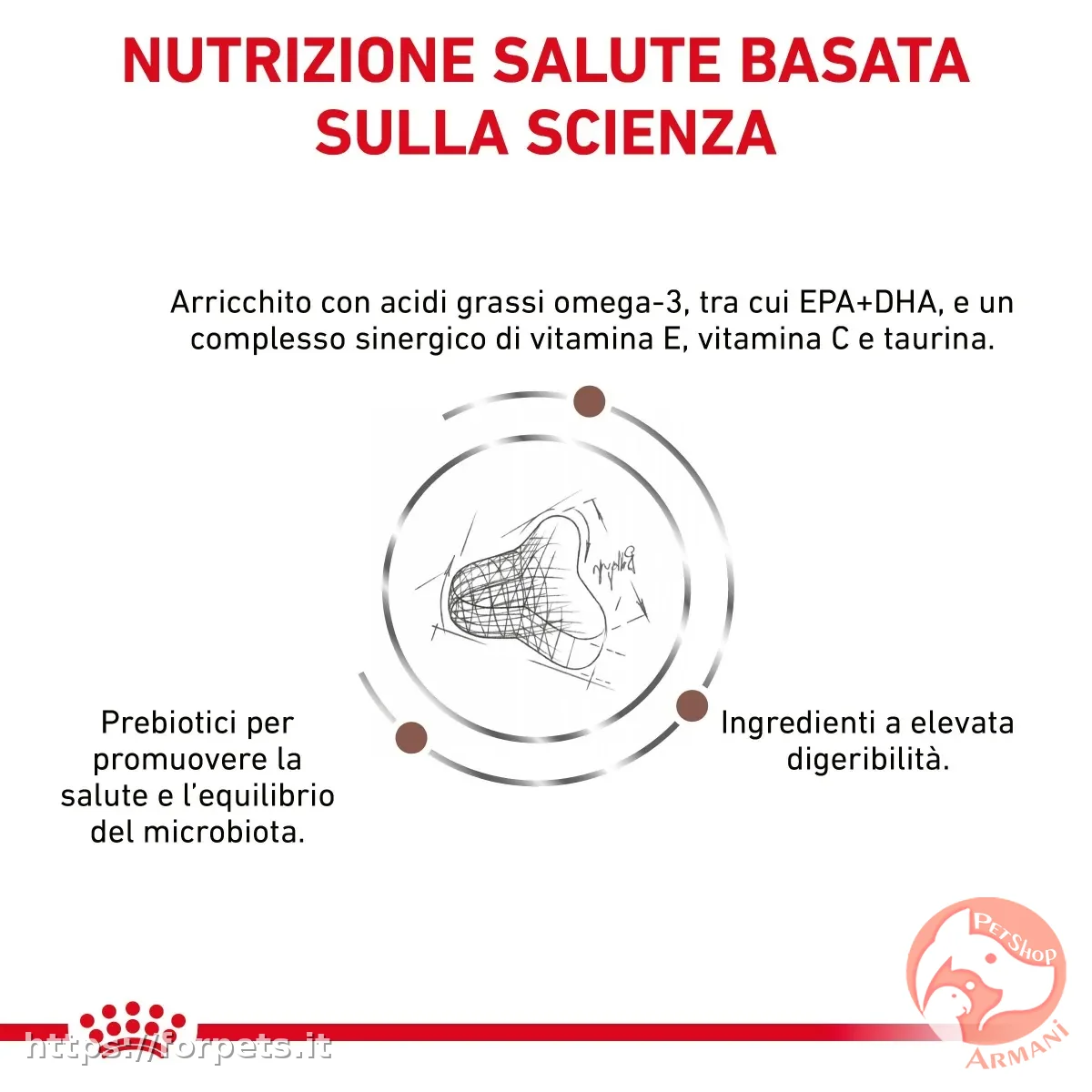 Royal Canin V-Diet Fibre Response per gatti sacco 2 kg - Vista Principale 2