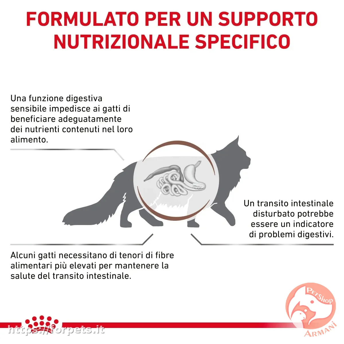 Royal Canin V-Diet Fibre Response per gatti sacco 2 kg - Vista Secondaria