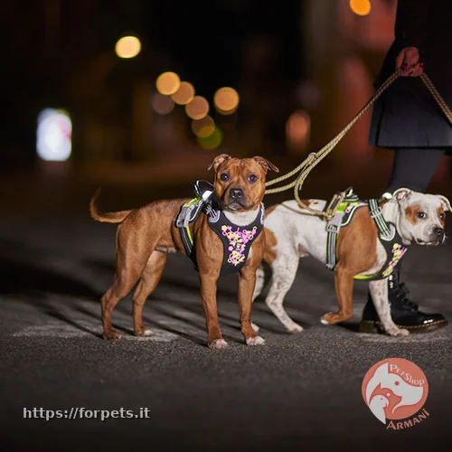 pettorina hurtta weekend warrior neon misura 100-120cm - Vista Principale 2