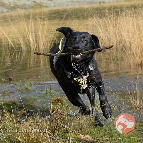 pettorina hurtta weekend warrior neon misura 100-120cm - Altra Vista Secondaria