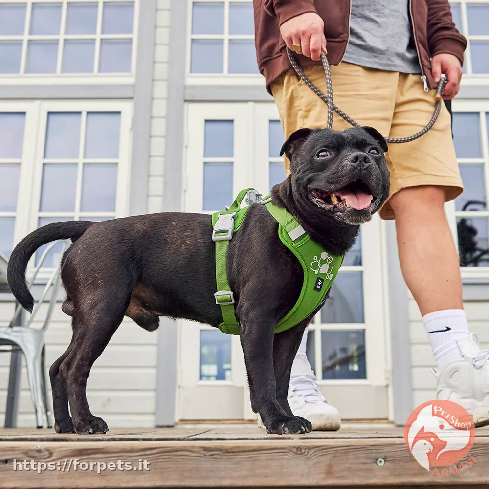 Pettorina hurtta weekend warrior eco 65-80cm parsley - Vista Principale 2