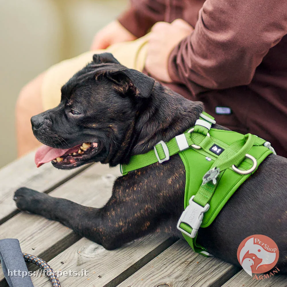 pettorina hurtta weeken warrior 45-60cm parsley - Altra Vista Secondaria