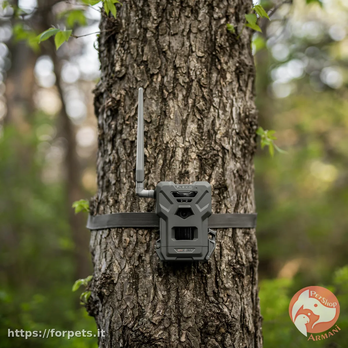 Spypoint Flex-M fototrappola - Altra Vista Secondaria