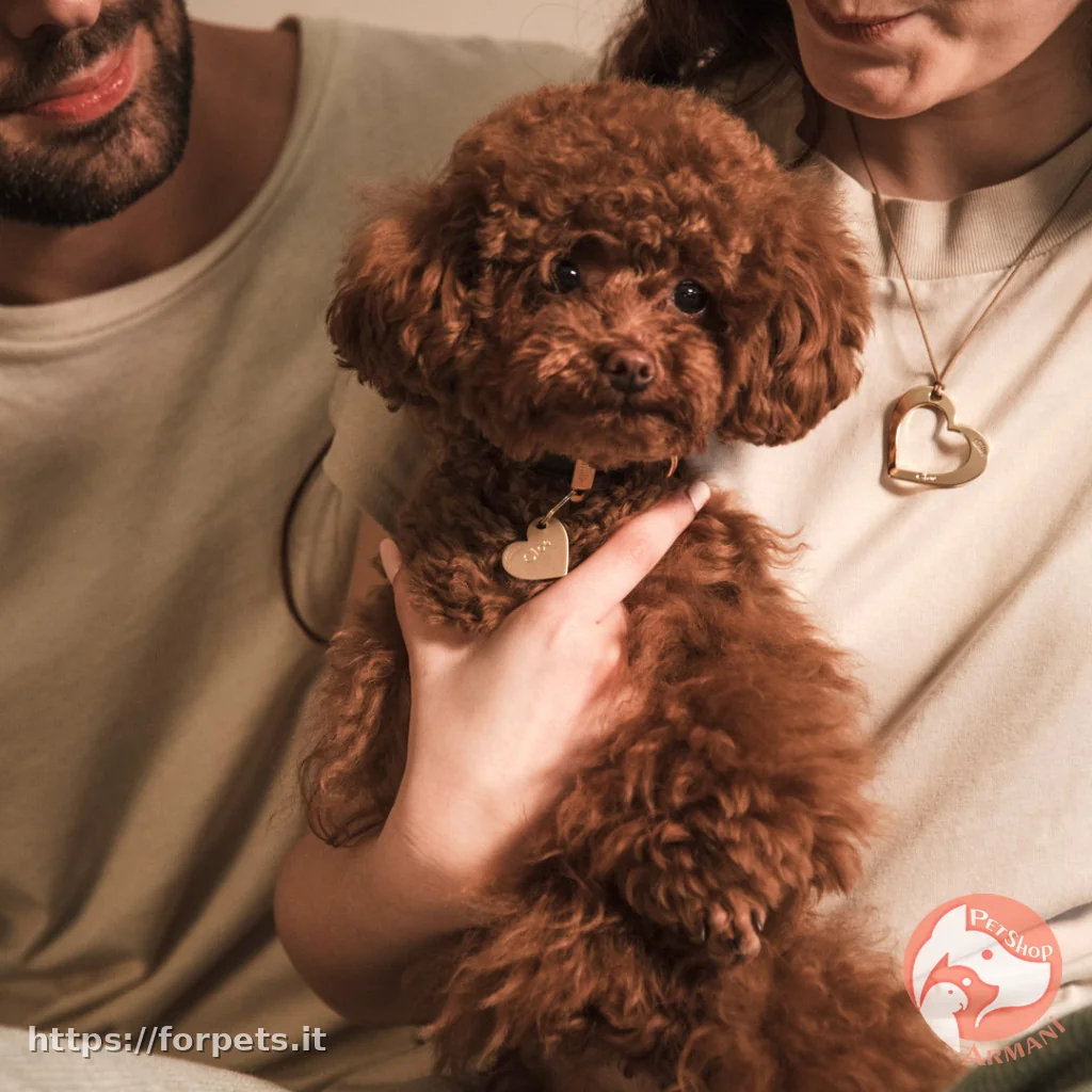 Myfamily Medaglietta TwoGether Cuore Doppio in Ottone Dorato Lucido e Opaco - Vista Principale 2