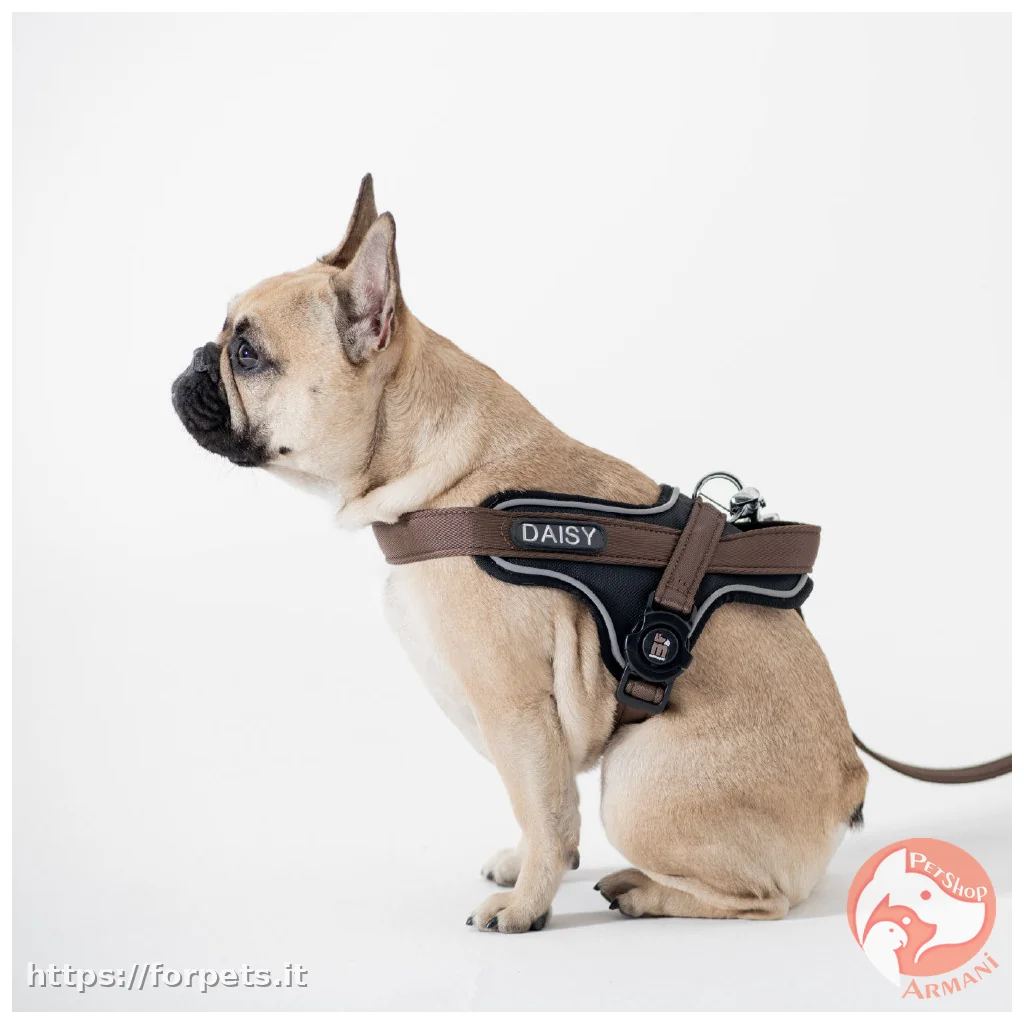 Myfamily Pettorina Y memopet ID Arancione Personalizzabile misura ML - Vista Secondaria