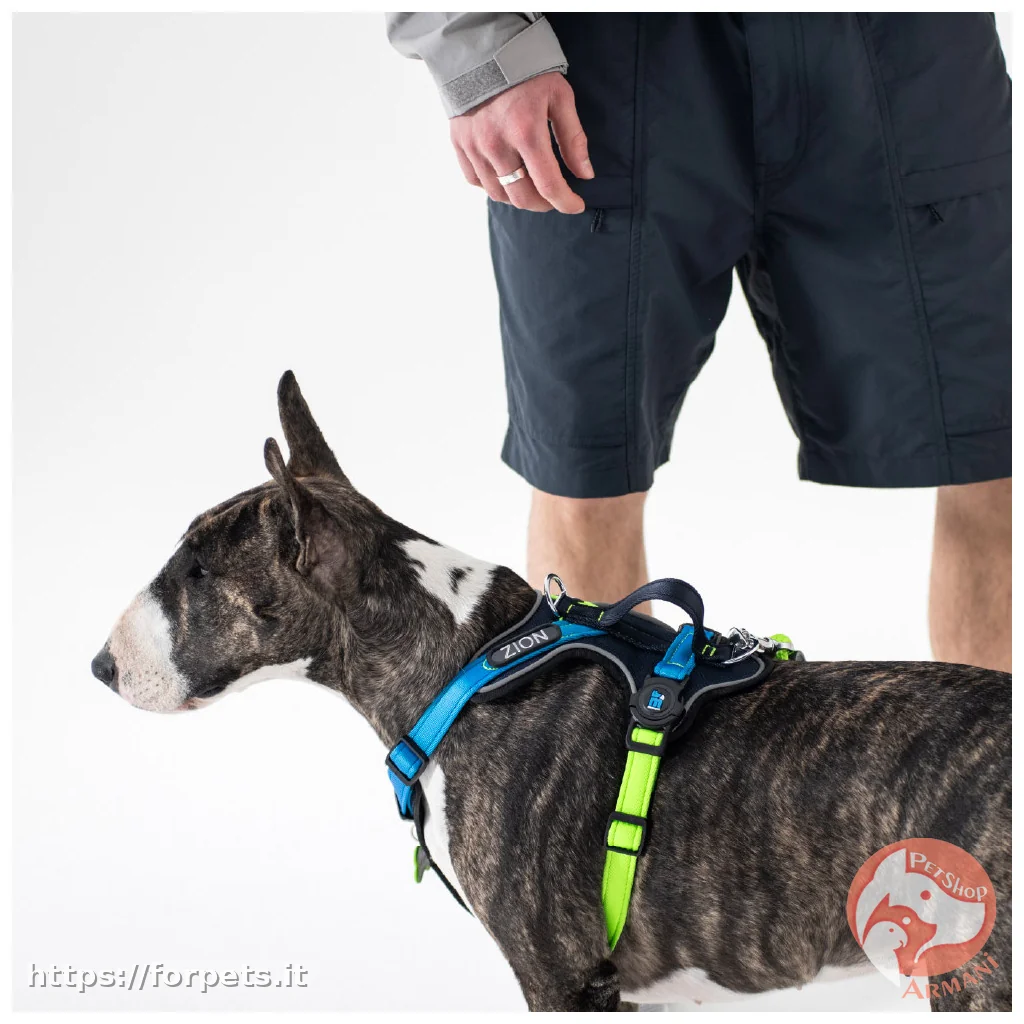 Myfamily pettoria  memopet® ID Color Block personalizzabile S - Vista Secondaria