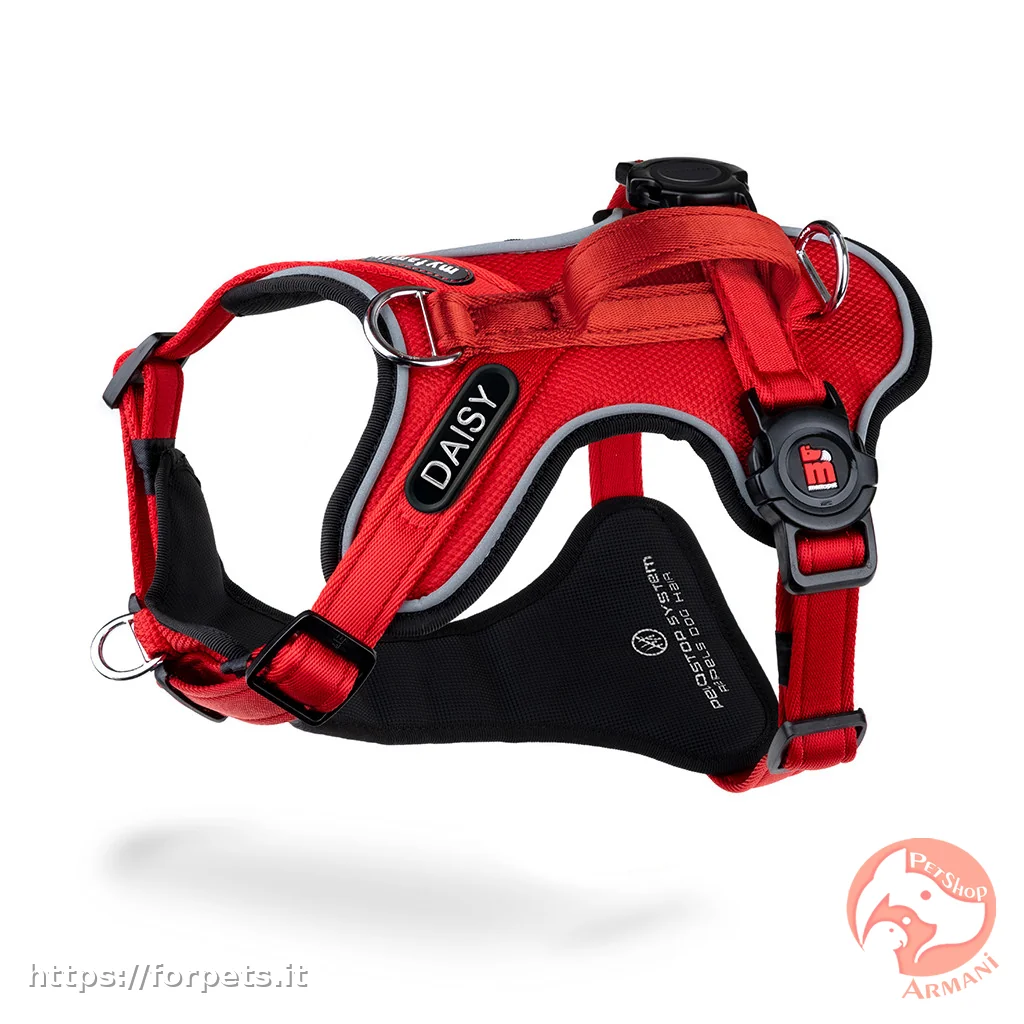 Pettorina H memopet® ID Rosso Personalizzabile L - Vista Principale