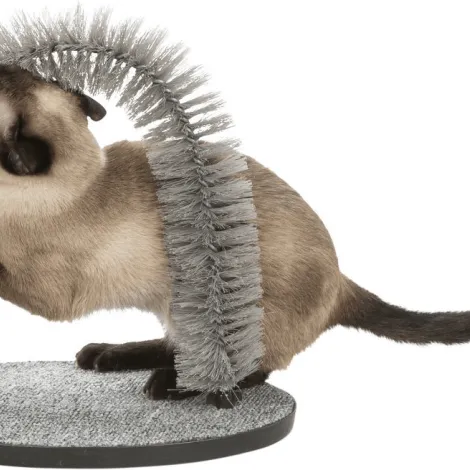 arco da massaggio e cura del pelo per gatti