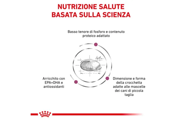 royal canin renal small canine v-diet