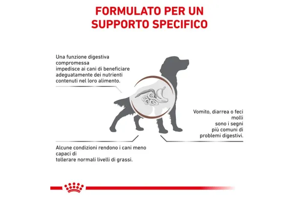 royal canin gastrointestinal low fat canine veterinary