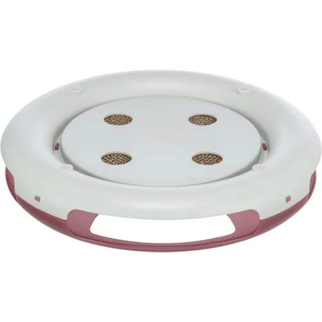 race & scratch gioco di strategia per gatti - Altra Vista Secondaria