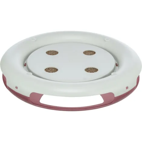 race & scratch gioco di strategia per gatti