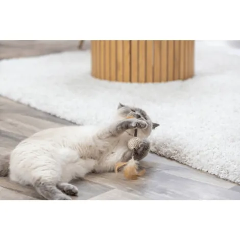 gioco piume con matatabi per gatti