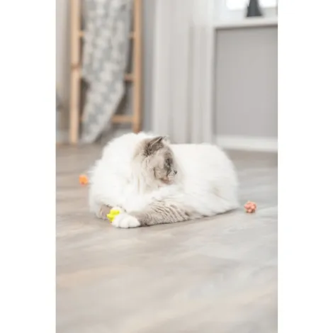 set di palline bitorzolute