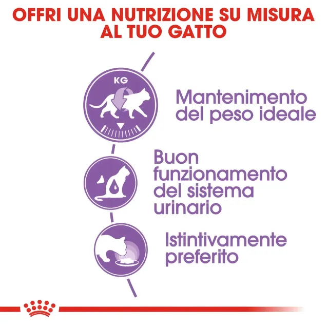 royal canin cat sterilised - Altra Vista Secondaria