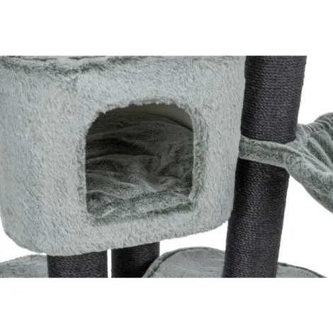 tiragraffi miguel per gatti