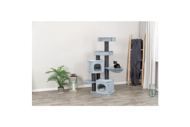 tiragraffi miguel per gatti