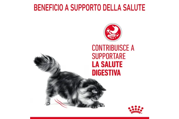 royal canin cat care digestive