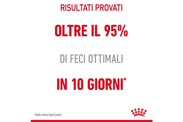 royal canin cat care digestive