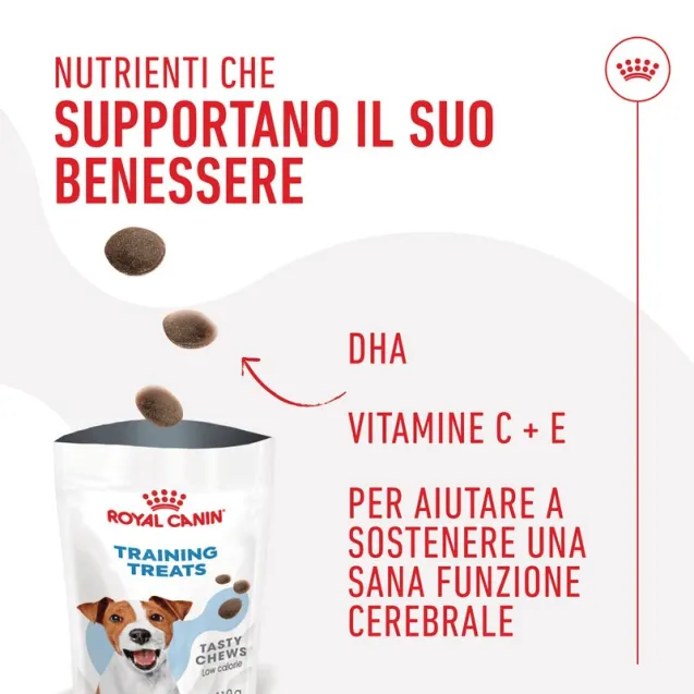 royal canin training treats snack cane - Altra Vista Secondaria