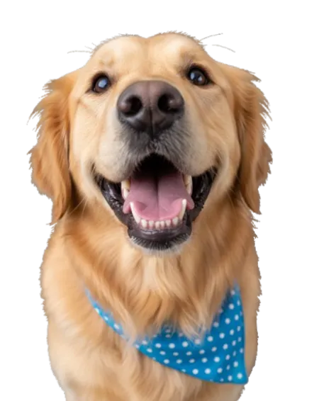 Tutto per la felicità dei tuoi pets